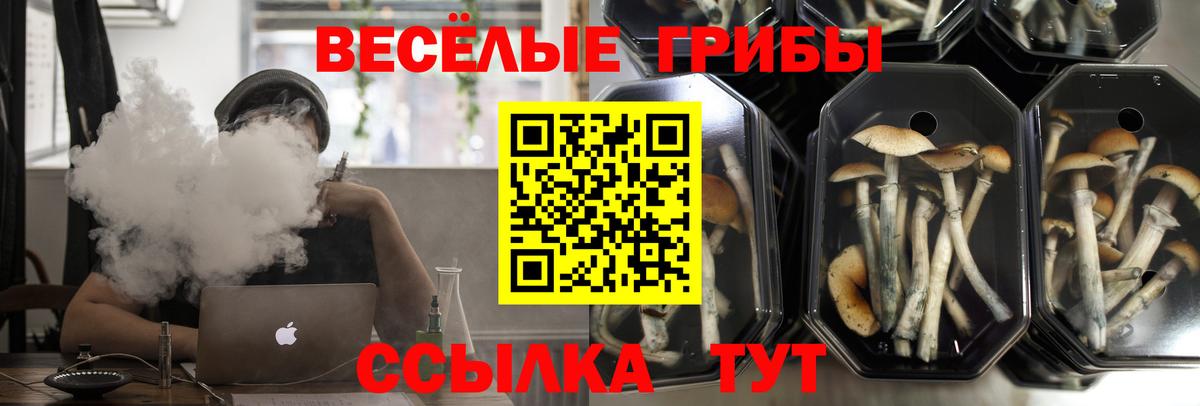 Галлюциногенные грибы ЛСД Грязи
